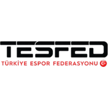 Turkish Esports Federation